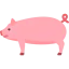 Pig icon 64x64