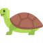 Turtle icon 64x64
