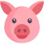 Pig icon 64x64