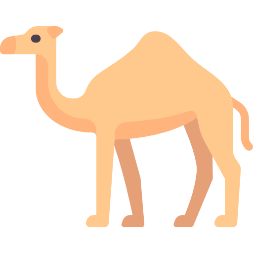 Camel icon