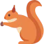 Chipmunk biểu tượng 64x64