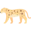 Leopard ícone 64x64