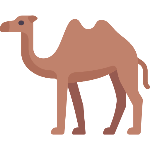 Camel icon