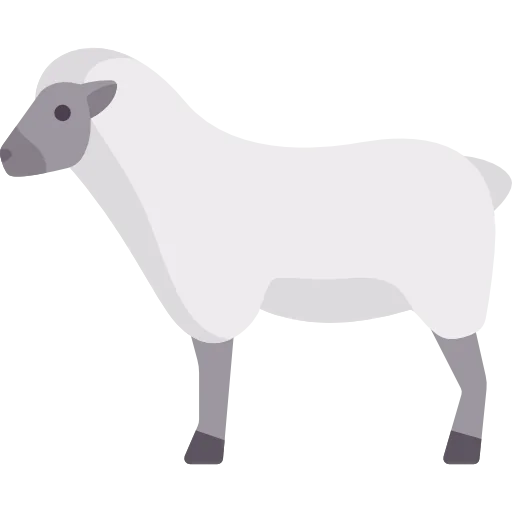 Ewe icon