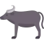 Buffalo アイコン 64x64