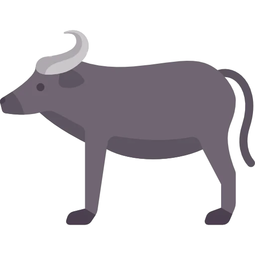 Buffalo icon