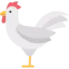 Hen icône 64x64