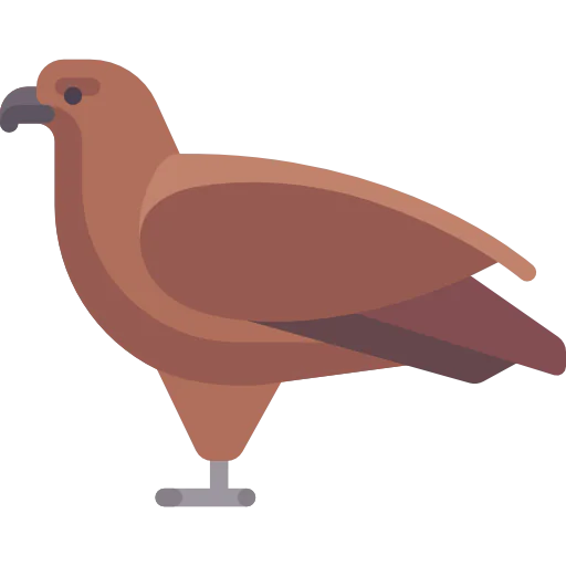 Eagle icon