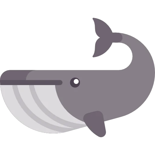 Whale icon