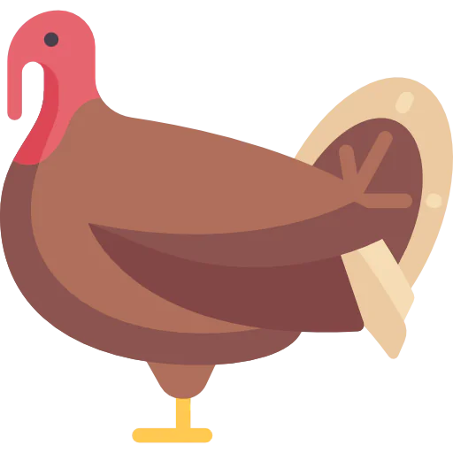 Turkey icon