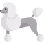 Poodle icon 64x64