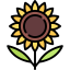 Sunflower icon 64x64