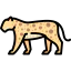 Leopard ícone 64x64