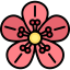 Cherry blossom icon 64x64