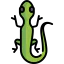 Lizard icon 64x64