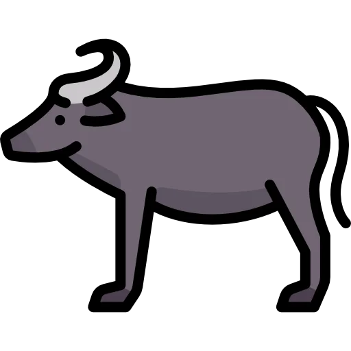 Buffalo icon