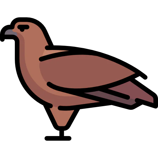 Eagle icon
