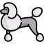 Poodle icon 64x64