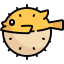 Blowfish icon 64x64