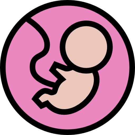 Fetus icon