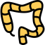 Colon ícono 64x64