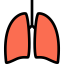 Lungs icon 64x64