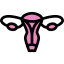 Uterus icon 64x64