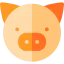 Pig icon 64x64