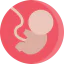 Fetus icon 64x64