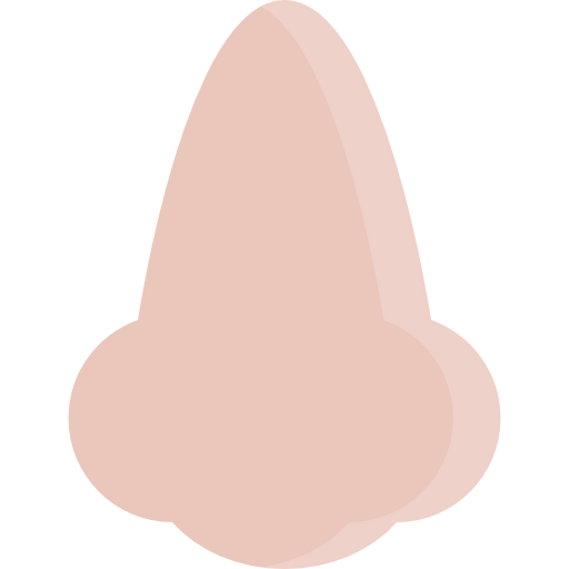 Nose icon