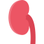 Kidney icon 64x64