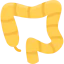 Colon ícono 64x64