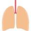 Lungs icon 64x64