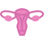Uterus icon 64x64