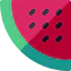 Watermelon icon 64x64