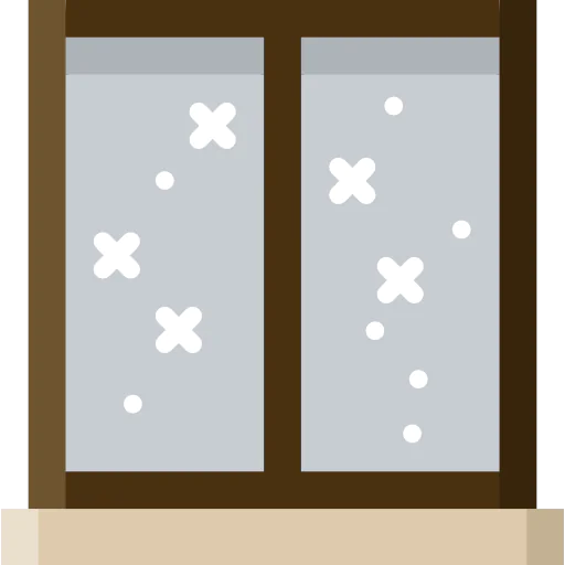 Window icon