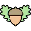 Oak icon 64x64