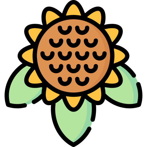 Sunflower icon