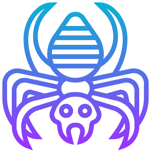 Spider icon