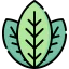 Leaves icon 64x64