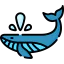 Whale icon 64x64