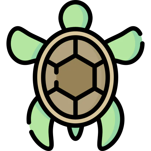 Turtle icon
