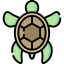 Turtle icon 64x64