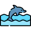 Dolphin icon 64x64