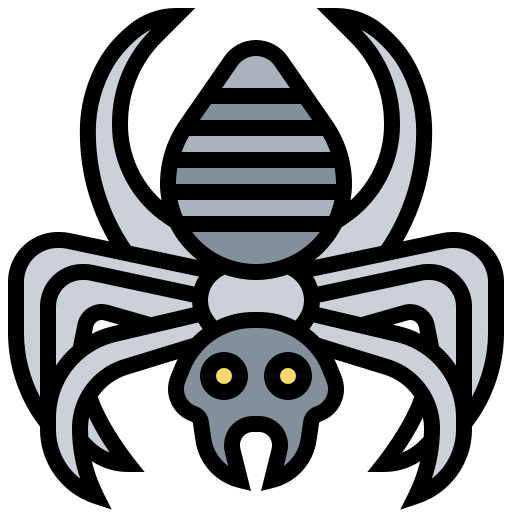 Spider icon