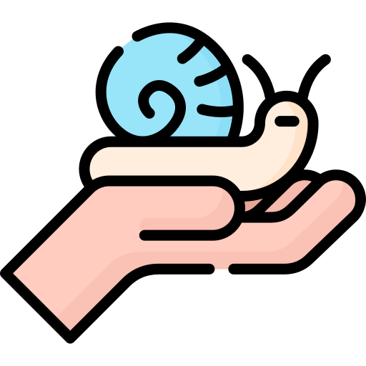 Snail icon