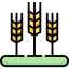 Wheat icon 64x64