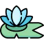 Lily icon 64x64