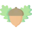 Oak icon 64x64
