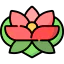 Lotus icon 64x64